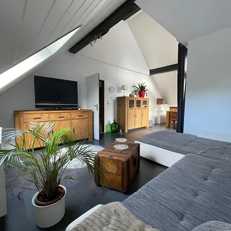 Grosse Ferienwohnung Direkt An Den Weinbergen Rüdesheim am Rhein Buitenkant foto