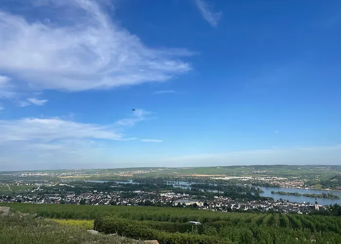 Grosse Ferienwohnung Direkt An Den Weinbergen