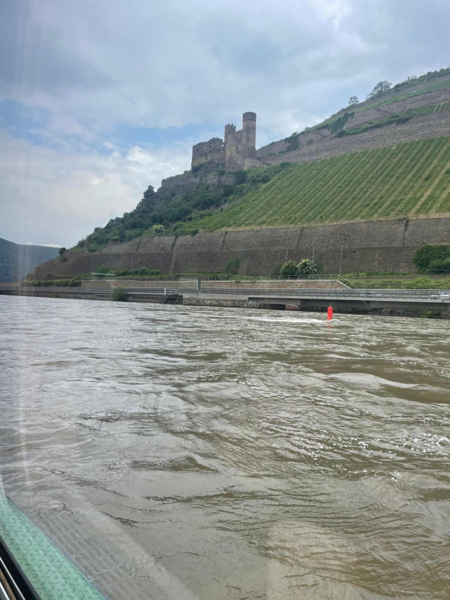 Apartment Grosse Direkt An Den Weinbergen Rüdesheim am Rhein