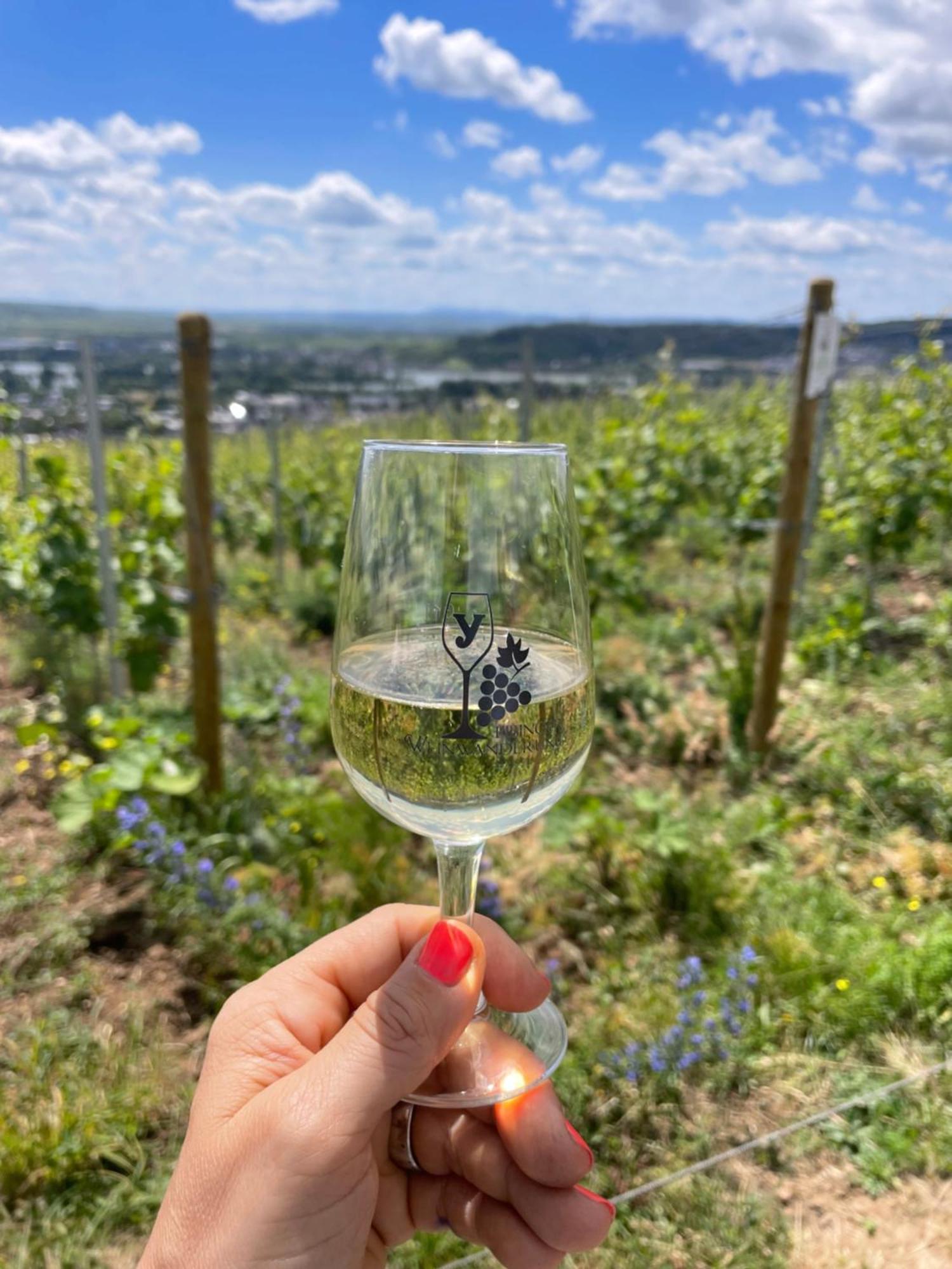 Apartment Grosse Direkt An Den Weinbergen Rüdesheim am Rhein