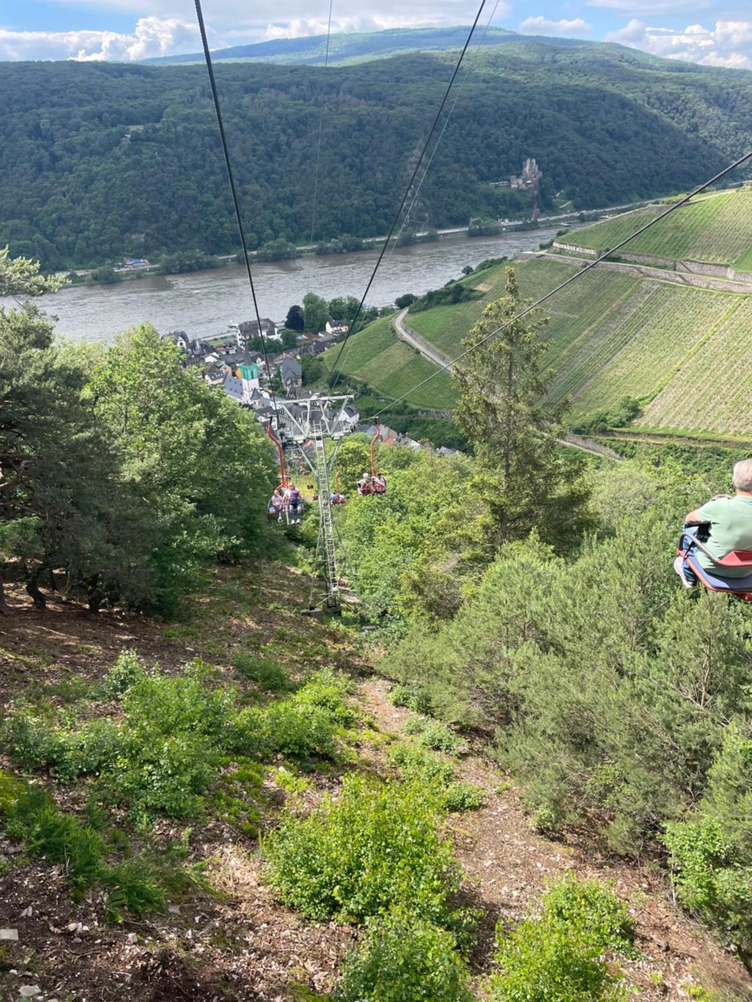 Grosse Direkt An Den Weinbergen *